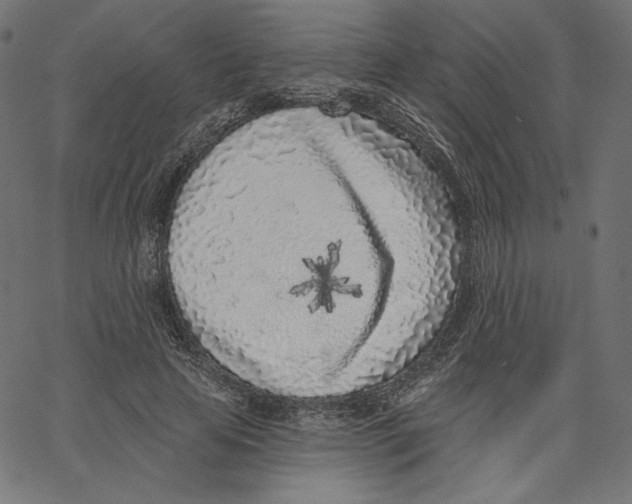 X0000067490641200604281518