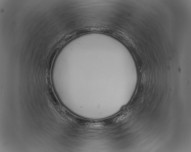 X0000067490643200604281518