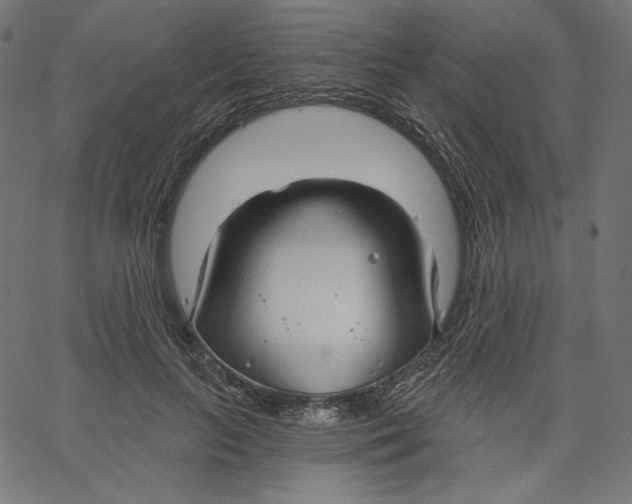 X0000067490647200604281518