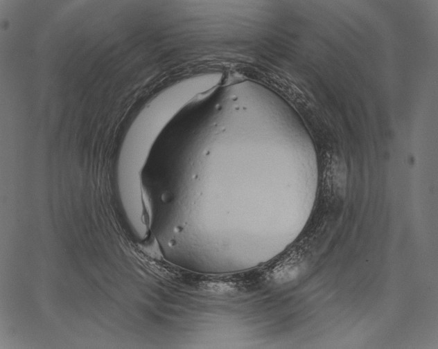 X0000067490649200604281518