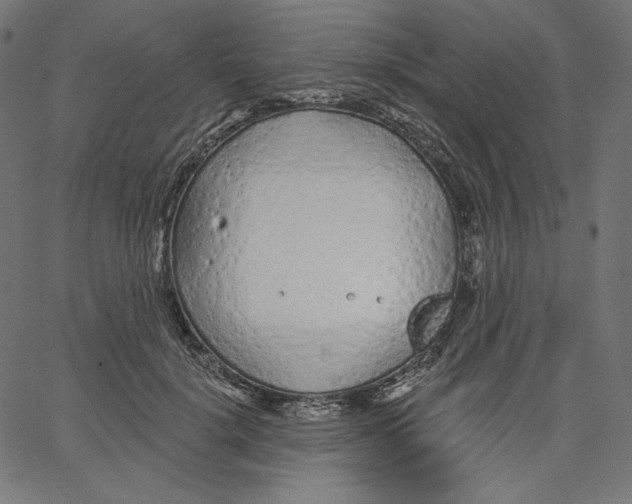 X0000067490652200604281518