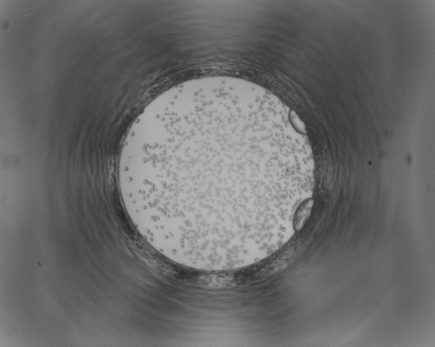 X0000067490660200604281518