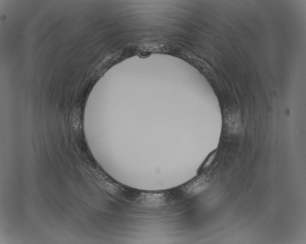 X0000067490665200604281519