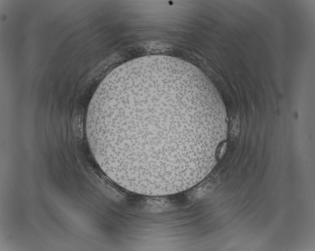 X0000067490666200604281519