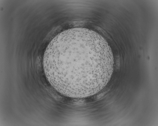 X0000067490667200604281519