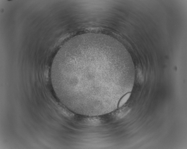 X0000067490668200604281519