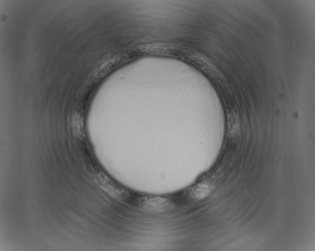 X0000067490669200604281519