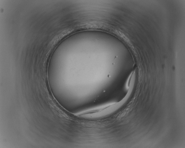X0000067490673200604281518