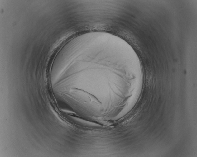X0000067490674200604281518