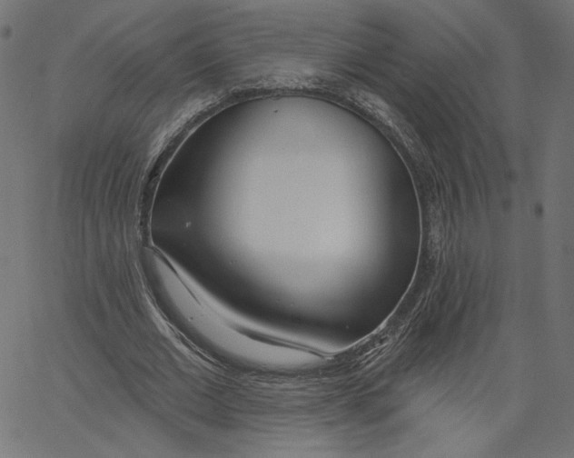 X0000067490677200604281518