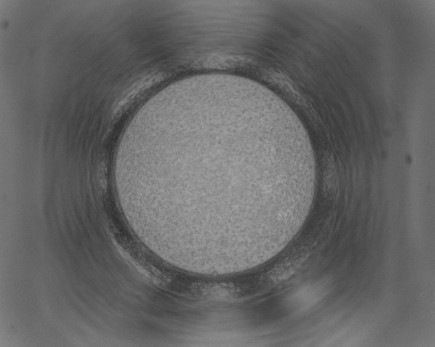 X0000067490683200604281518