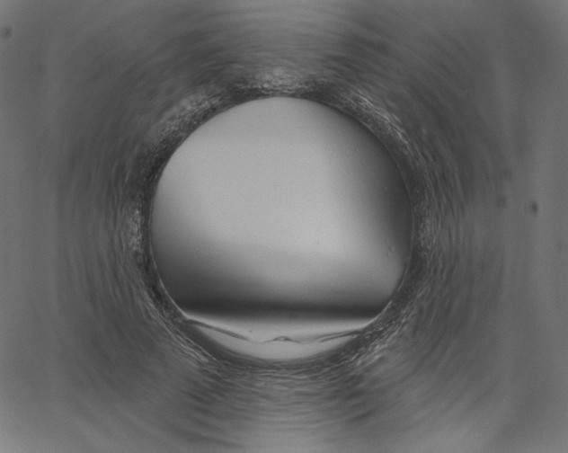 X0000067490689200604281517