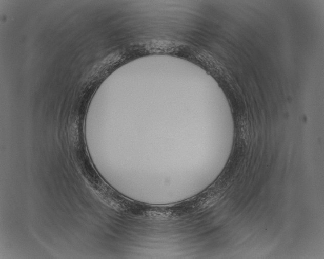 X0000067490690200604281517