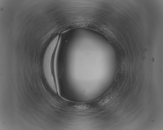 X0000067490693200604281517