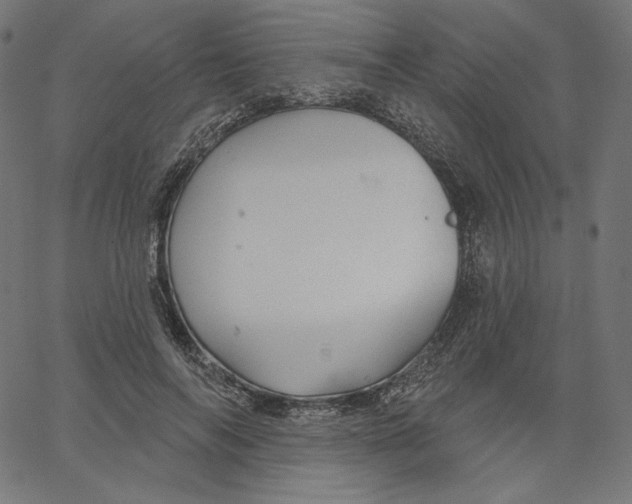 X0000067490694200604281517