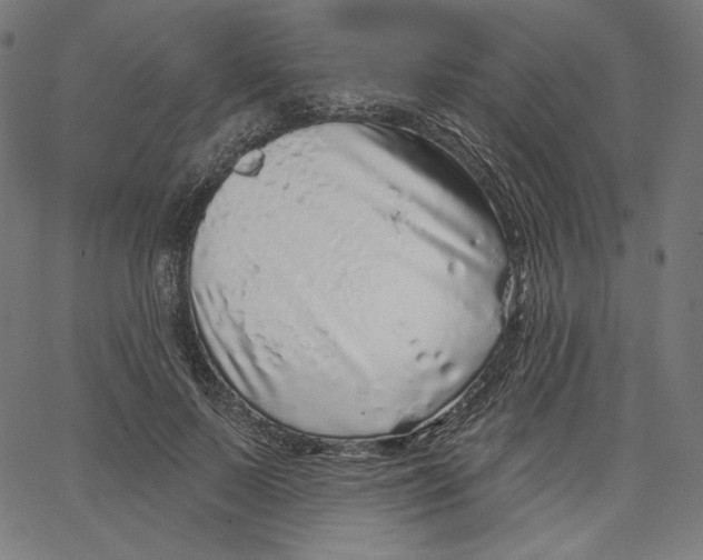 X0000067490695200604281517