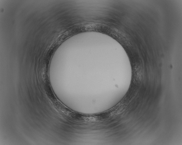 X0000067490698200604281517