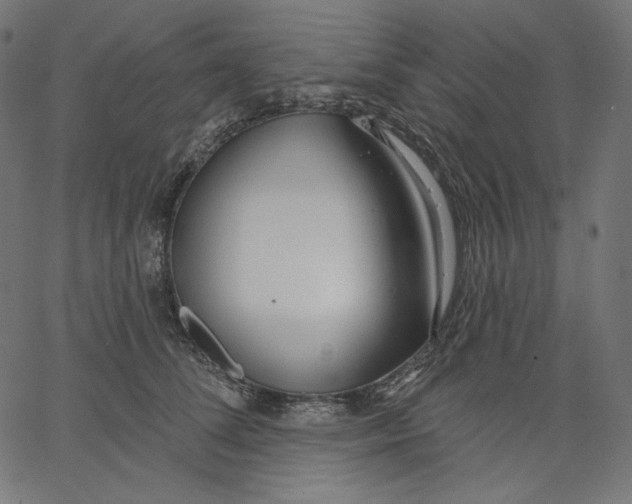 X0000067490708200604281517