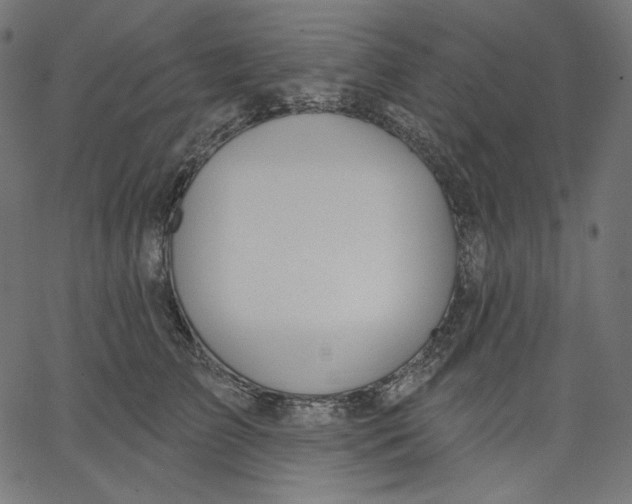 X0000067490709200604281517