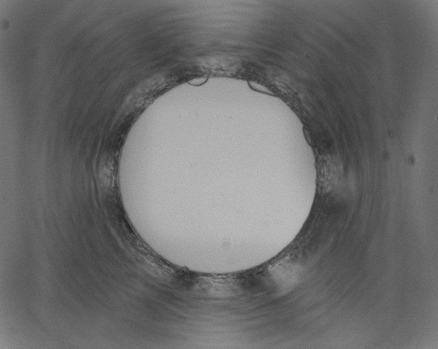 X0000067490713200604281517