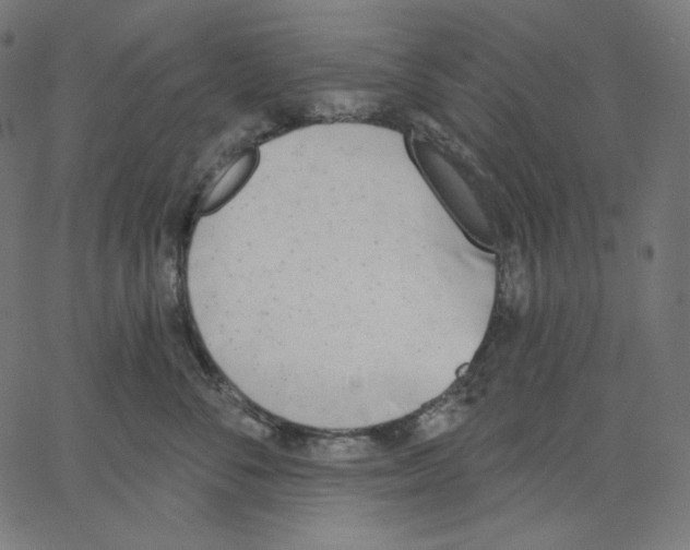 X0000067490716200604281517