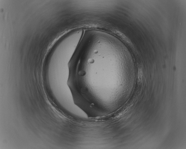 X0000067490722200604281516