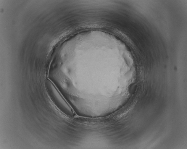 X0000067490725200604281516