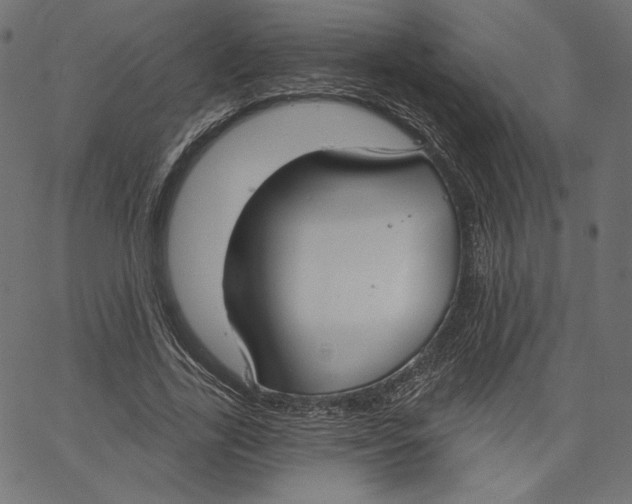 X0000067490731200604281516