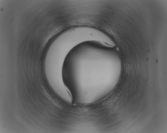 X0000067490735200604281516