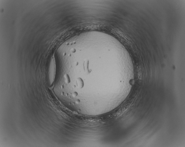 X0000067490737200604281516