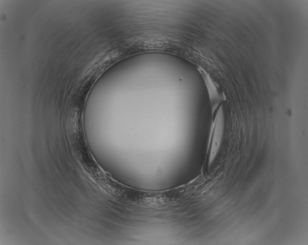 X0000067490744200604281517