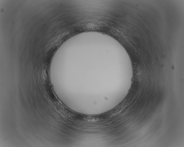 X0000067490746200604281517