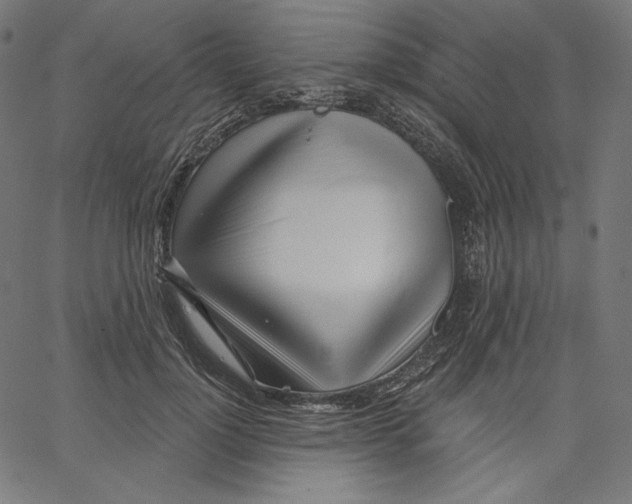 X0000067490748200604281517