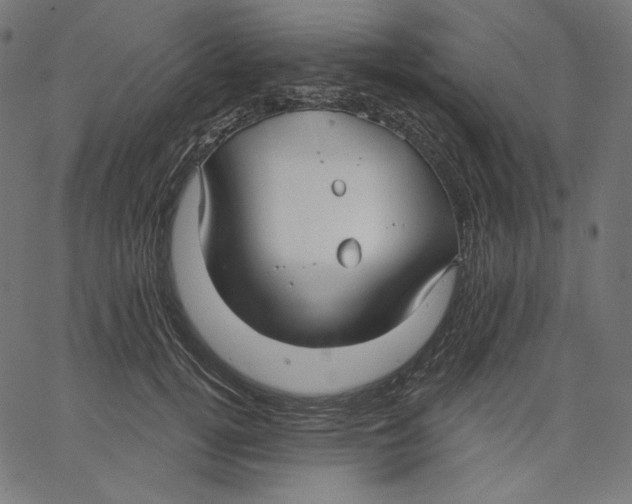 X0000067490752200604281517