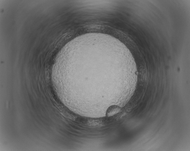 X0000067490753200604281517