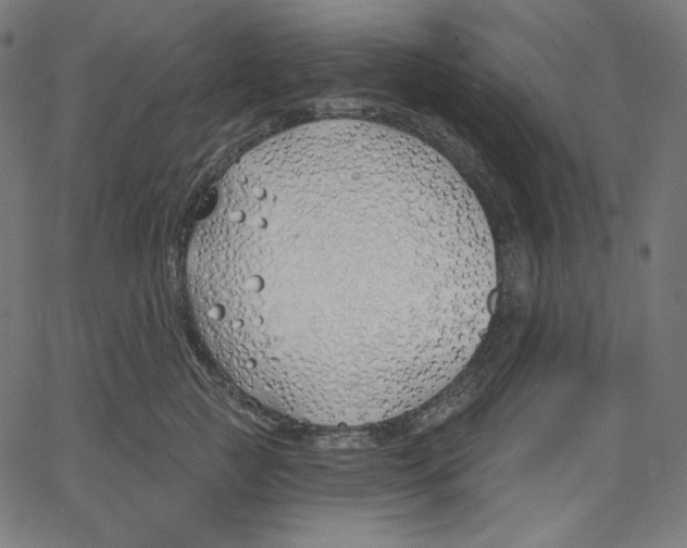 X0000067490761200604281517