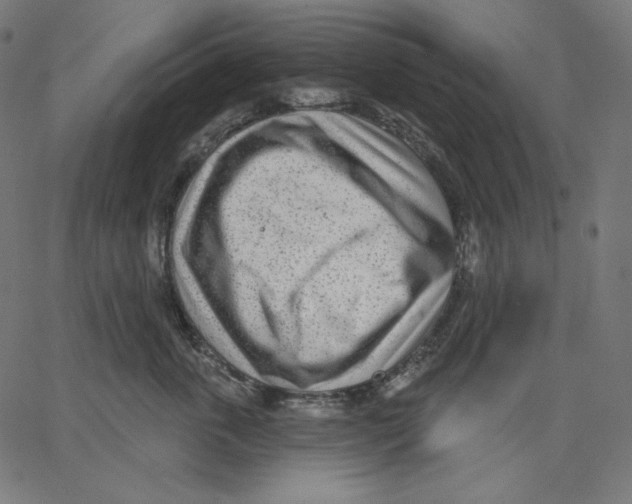 X0000067490763200604281517