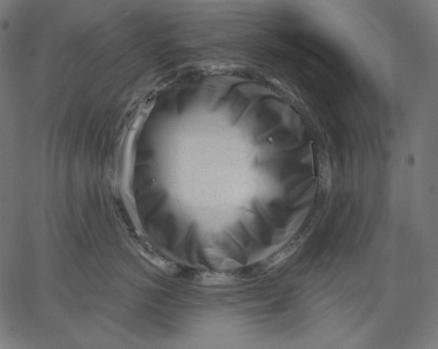 X0000067490766200604281517