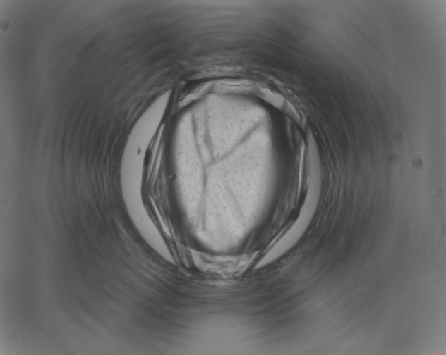 X0000067490767200604281517