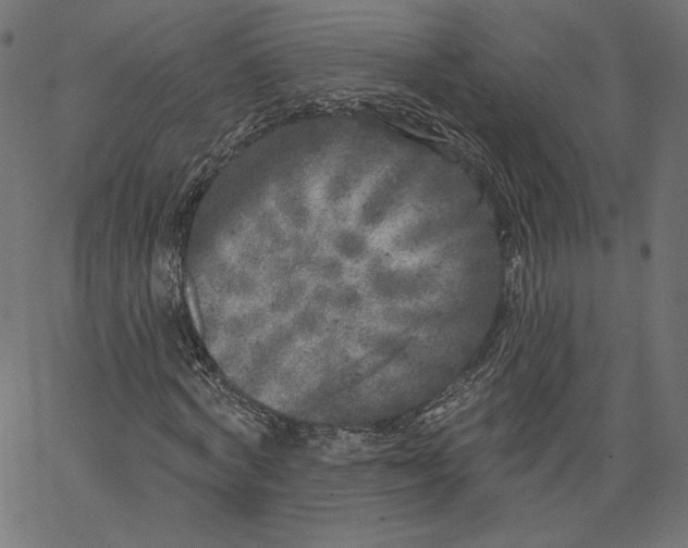 X0000067490772200604281516