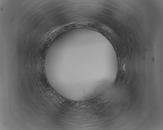 X0000067490773200604281516