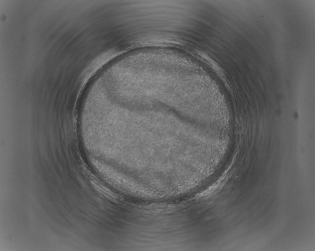 X0000067490779200604281516