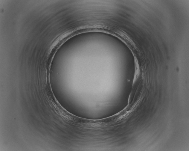 X0000067490781200604281516