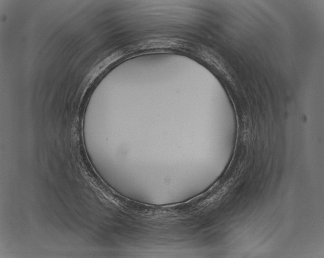X0000067490786200604281516