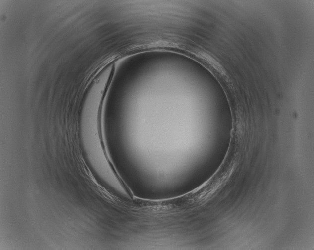 X0000067490793200604281516
