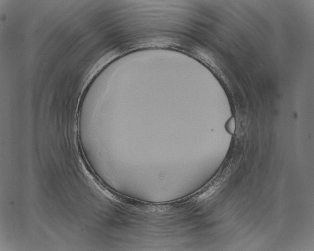 X0000067490802200604281515