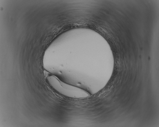 X0000067490817200604281514