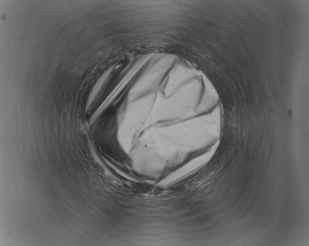 X0000067490818200604281514
