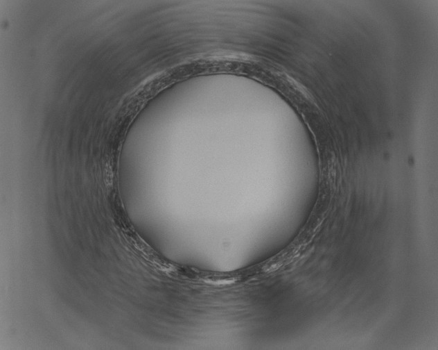 X0000067490821200604281515