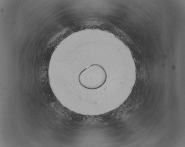 X0000067490824200604281515